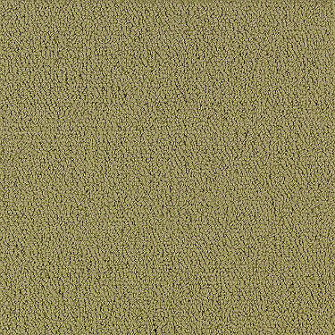 Color Accents Commercial Carpet