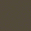 Color Accents Commercial Carpet