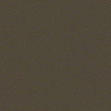 Color Accents Commercial Carpet