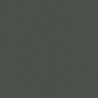 Color Accents Commercial Carpet