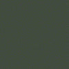 Color Accents Commercial Carpet
