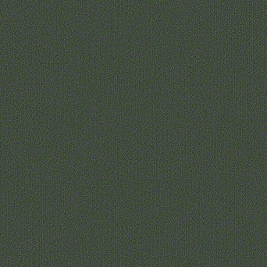 Color Accents Commercial Carpet