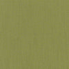 Color Accents Commercial Carpet