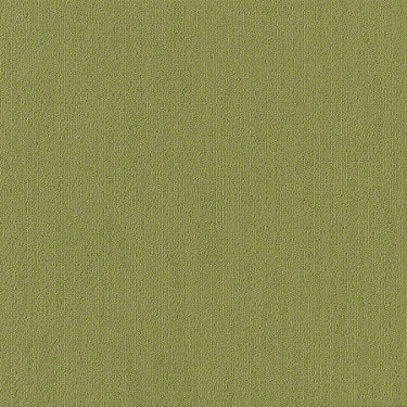 Color Accents Commercial Carpet