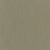 Color Accents Commercial Carpet