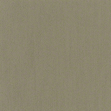 Color Accents Commercial Carpet