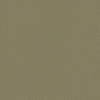 Color Accents Commercial Carpet