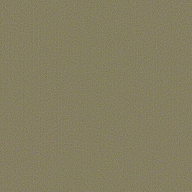Color Accents Commercial Carpet