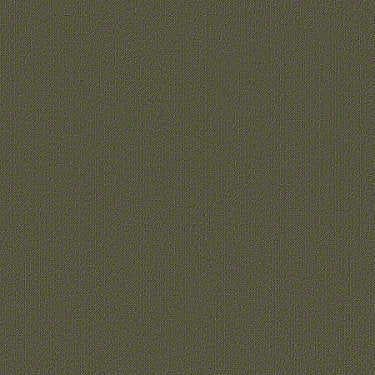 Color Accents Commercial Carpet