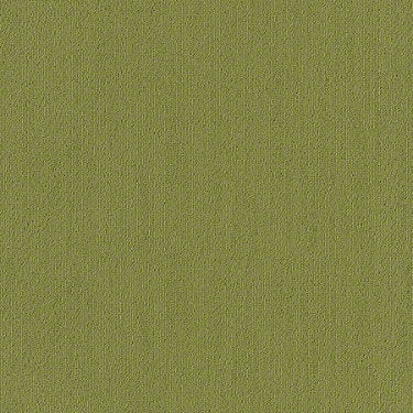 Color Accents Commercial Carpet