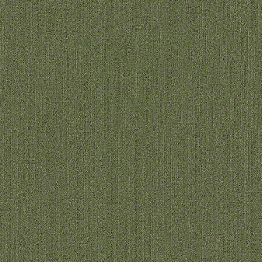 Color Accents Commercial Carpet