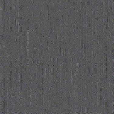 Color Accents Commercial Carpet