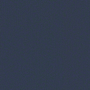 Color Accents Commercial Carpet