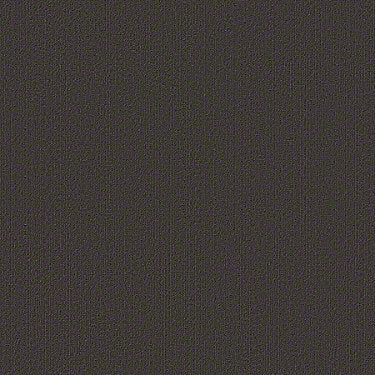 Color Accents Commercial Carpet