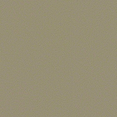 Color Accents Commercial Carpet