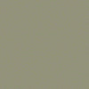 Color Accents Commercial Carpet