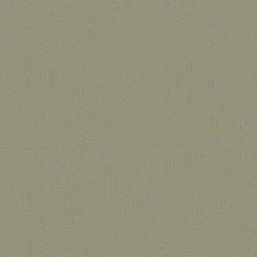 Color Accents Commercial Carpet