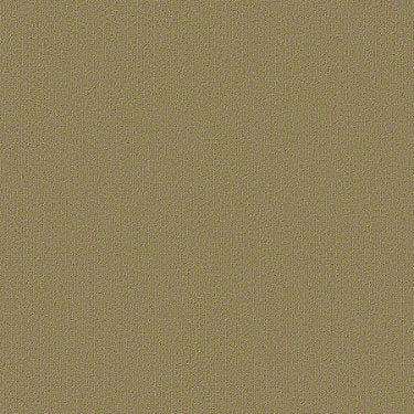 Color Accents Commercial Carpet