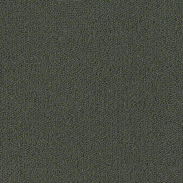 Color Accents Commercial Carpet