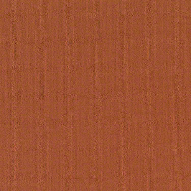 Color Accents Commercial Carpet