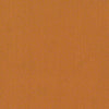 Color Accents Commercial Carpet