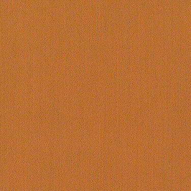 Color Accents Commercial Carpet