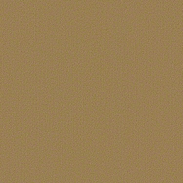Color Accents Commercial Carpet