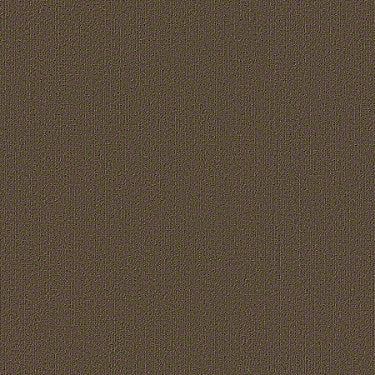 Color Accents Commercial Carpet
