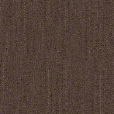 Color Accents Commercial Carpet