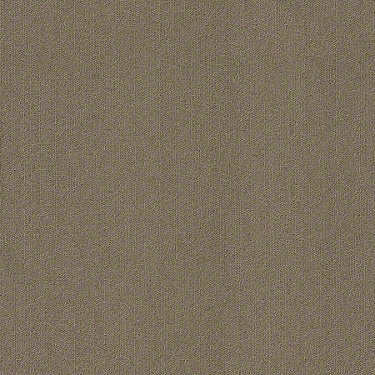 Color Accents Commercial Carpet