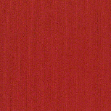Color Accents Commercial Carpet