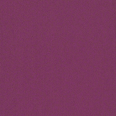 Color Accents Commercial Carpet