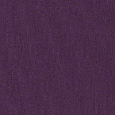 Color Accents Commercial Carpet