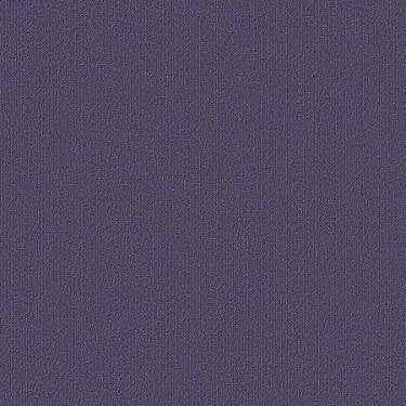 Color Accents Commercial Carpet