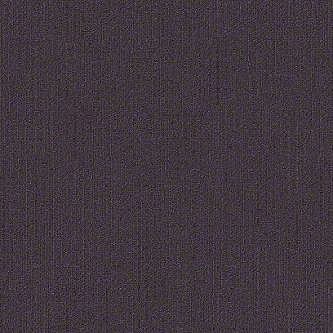 Color Accents Commercial Carpet