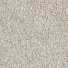 Parade Of Champions II 12' Commercial Carpet
