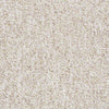 Parade Of Champions II 12' Commercial Carpet