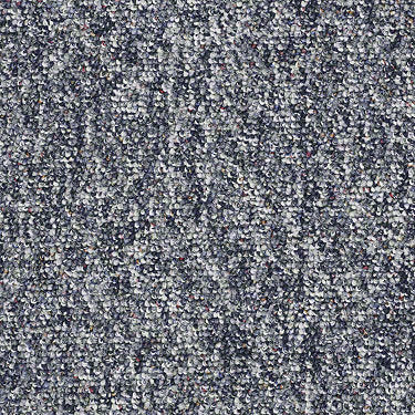 Parade Of Champions II 12' Commercial Carpet