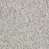 Parade Of Champions II 12' Commercial Carpet
