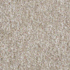 Parade Of Champions II 12' Commercial Carpet
