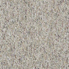 Parade Of Champions II 12' Commercial Carpet