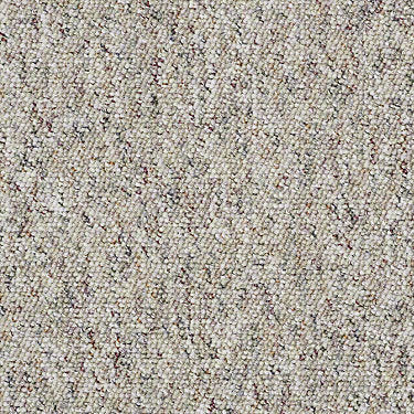 Parade Of Champions II 12' Commercial Carpet