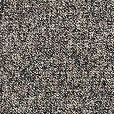 Parade Of Champions II 12' Commercial Carpet