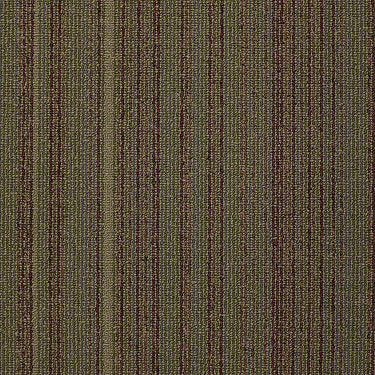 Wired Commercial Carpet
