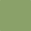 Benjamin Moore's paint color 545 Buckingham Gardens