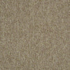 Multiplicity 24X24 Commercial Carpet