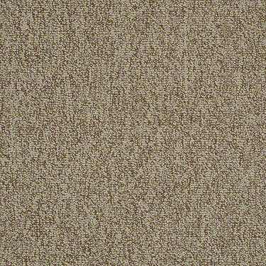 Multiplicity 24X24 Commercial Carpet