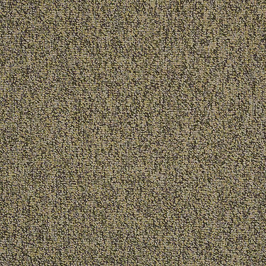 Multiplicity 24X24 Commercial Carpet