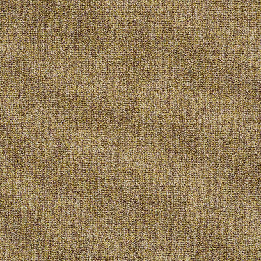 Multiplicity 24X24 Commercial Carpet