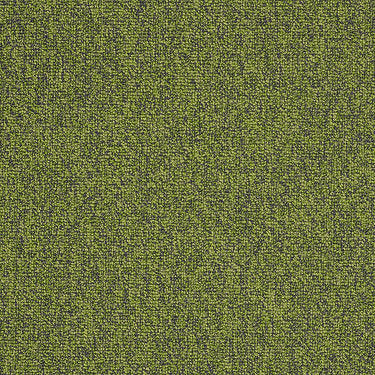 Multiplicity 24X24 Commercial Carpet